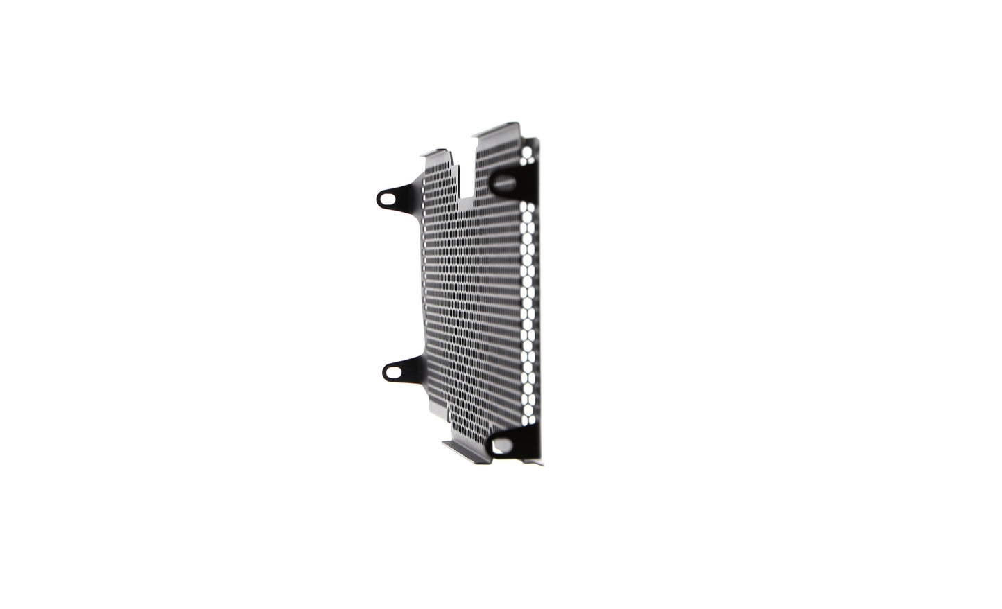 bmw-r-1200-rs-radiator-guard-2015-to-2018