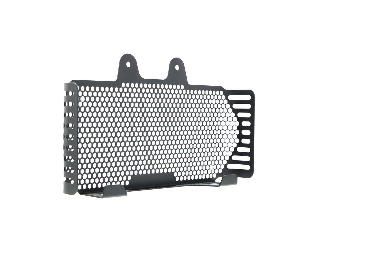 bmw-r-ninet-pure-oil-cooler-guard-2017-onwards
