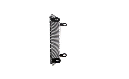 Grille de radiateur Evotech Performance pour Aprilia Shiver SL 750 (2017)