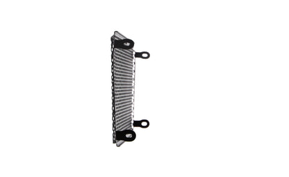 Grille de radiateur Evotech Performance - Aprilia Dorsoduro 750 (2008 - 2016)