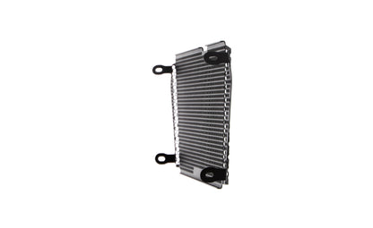 Grille de radiateur Evotech Performance pour Aprilia Shiver SL 750 (2017)