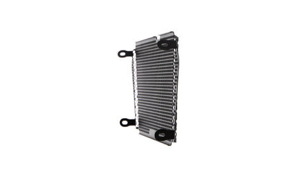 Grille de radiateur Evotech Performance - Aprilia Dorsoduro 750 (2008 - 2016)