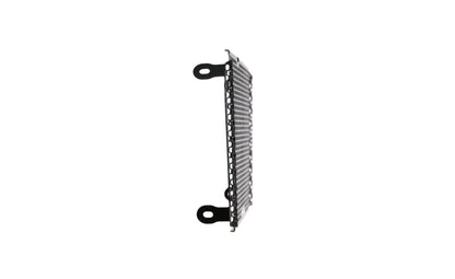 Grille de radiateur Evotech Performance - Aprilia Dorsoduro 750 (2008 - 2016)