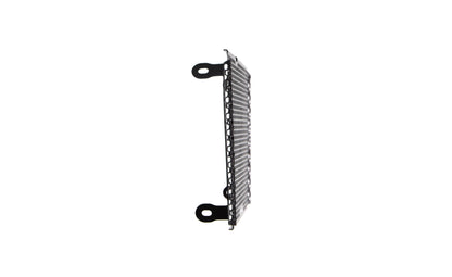 Grille de radiateur Evotech Performance pour Aprilia Shiver SL 750 (2017)
