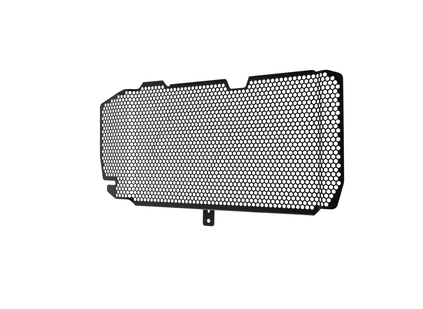bmw-f-800-r-radiator-guard-2015-to-2019