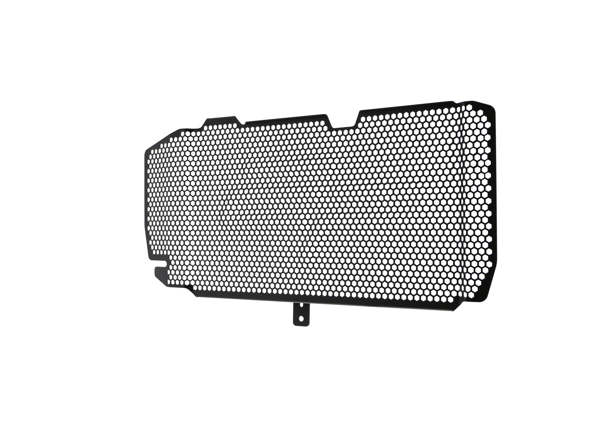 bmw-f-800-r-radiator-guard-2015-to-2019