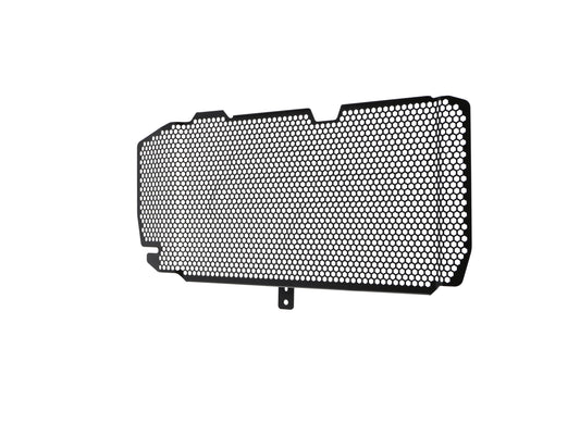 bmw-f-800-r-radiator-guard-2015-to-2019