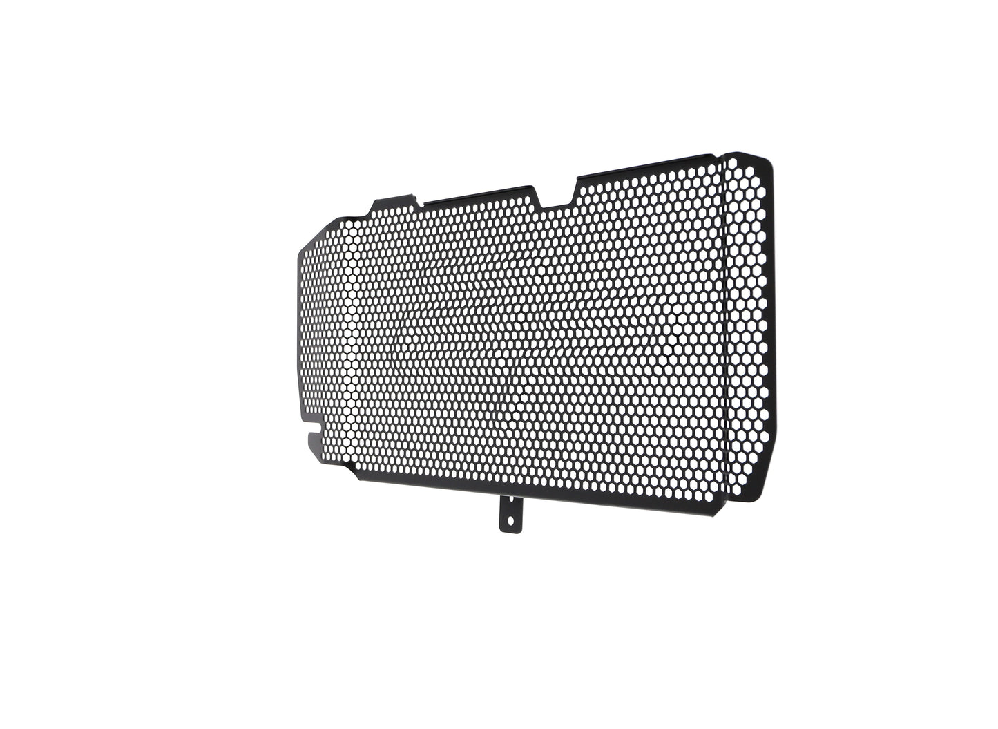 bmw-f-800-r-radiator-guard-2015-to-2019