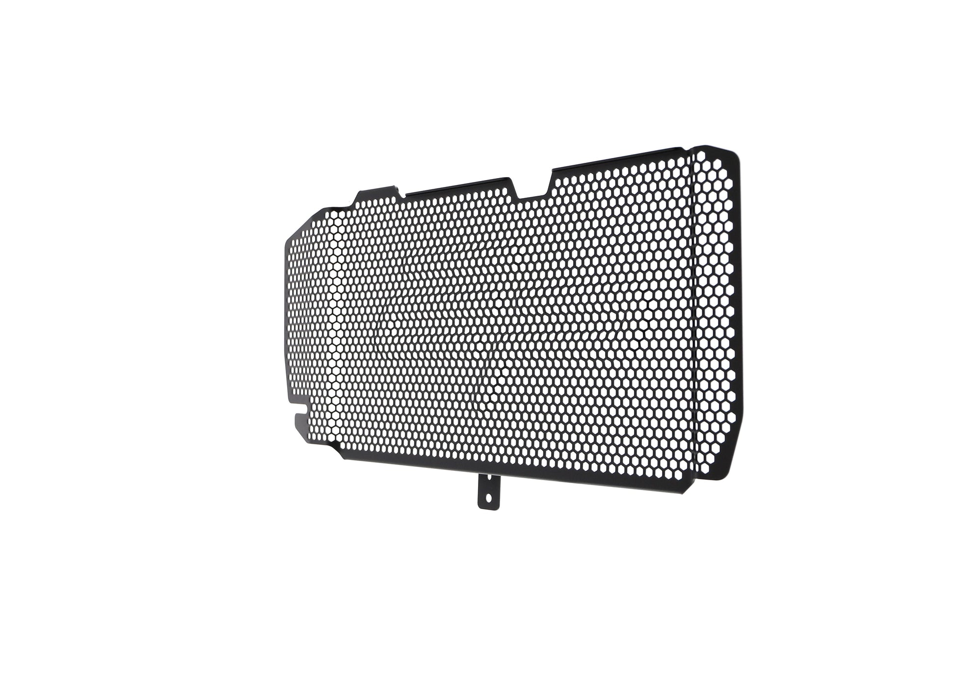 bmw-f-800-r-radiator-guard-2015-to-2019