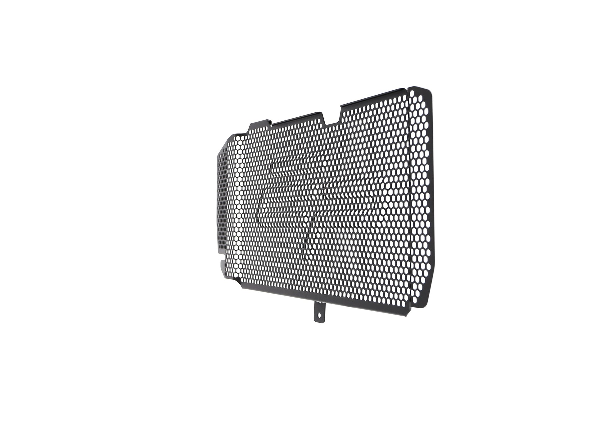 bmw-f-800-r-radiator-guard-2015-to-2019