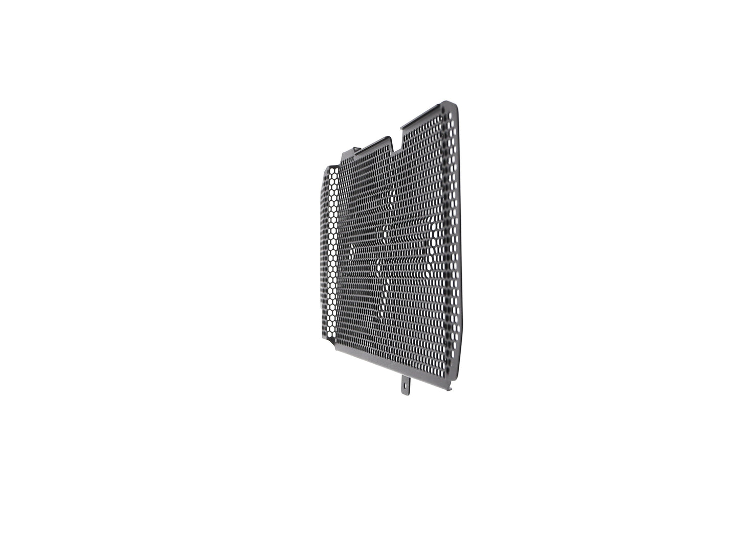 bmw-f-800-r-radiator-guard-2015-to-2019