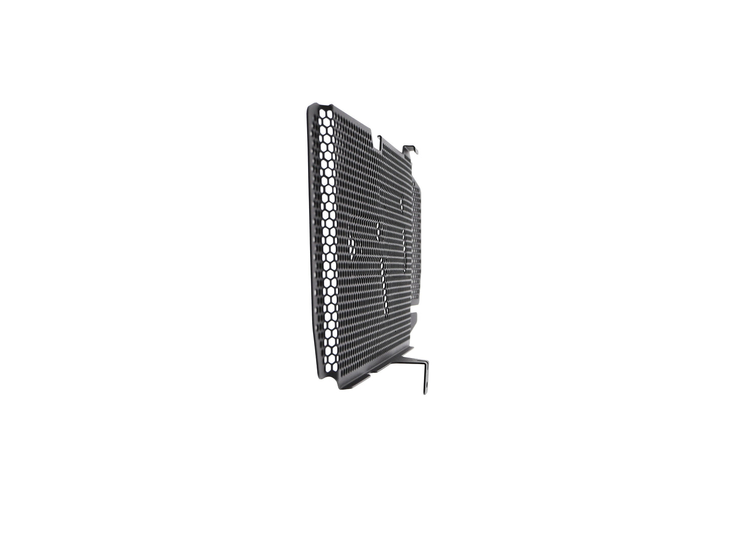 bmw-f-800-r-radiator-guard-2015-to-2019
