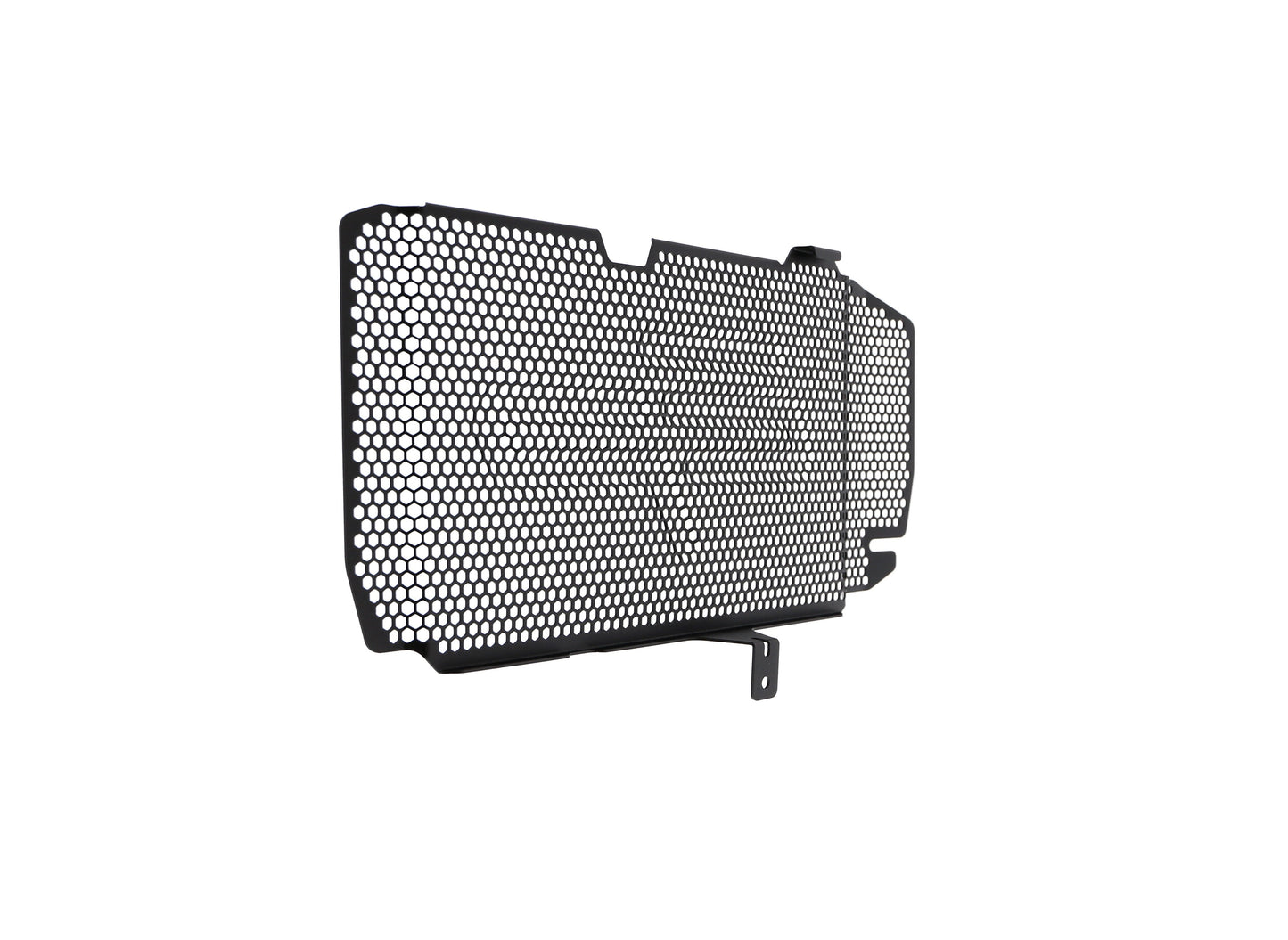 bmw-f-800-r-radiator-guard-2015-to-2019