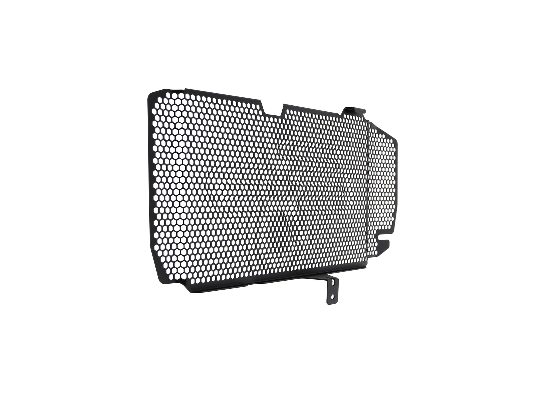 bmw-f-800-r-radiator-guard-2015-to-2019