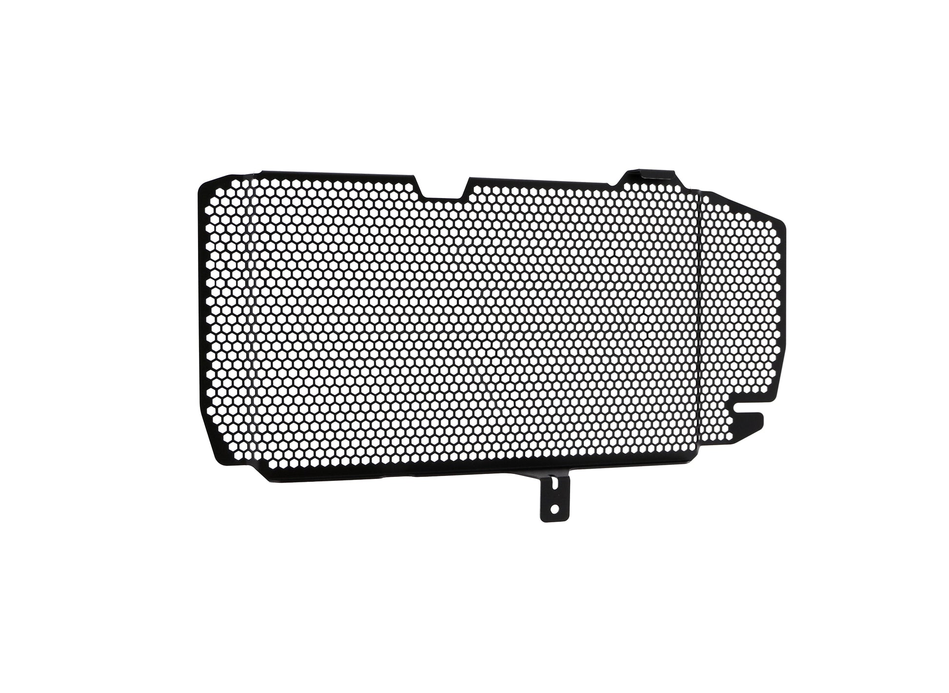 bmw-f-800-r-radiator-guard-2015-to-2019