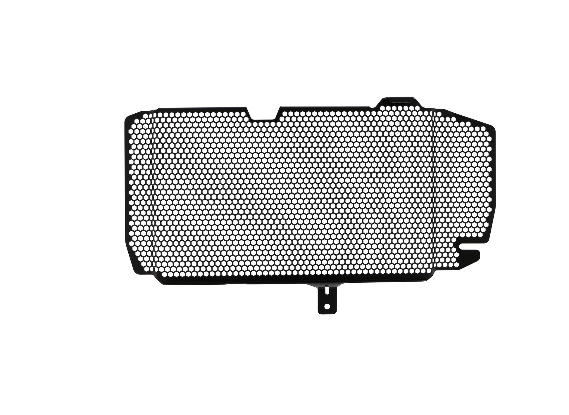 bmw-f-800-r-radiator-guard-2015-to-2019