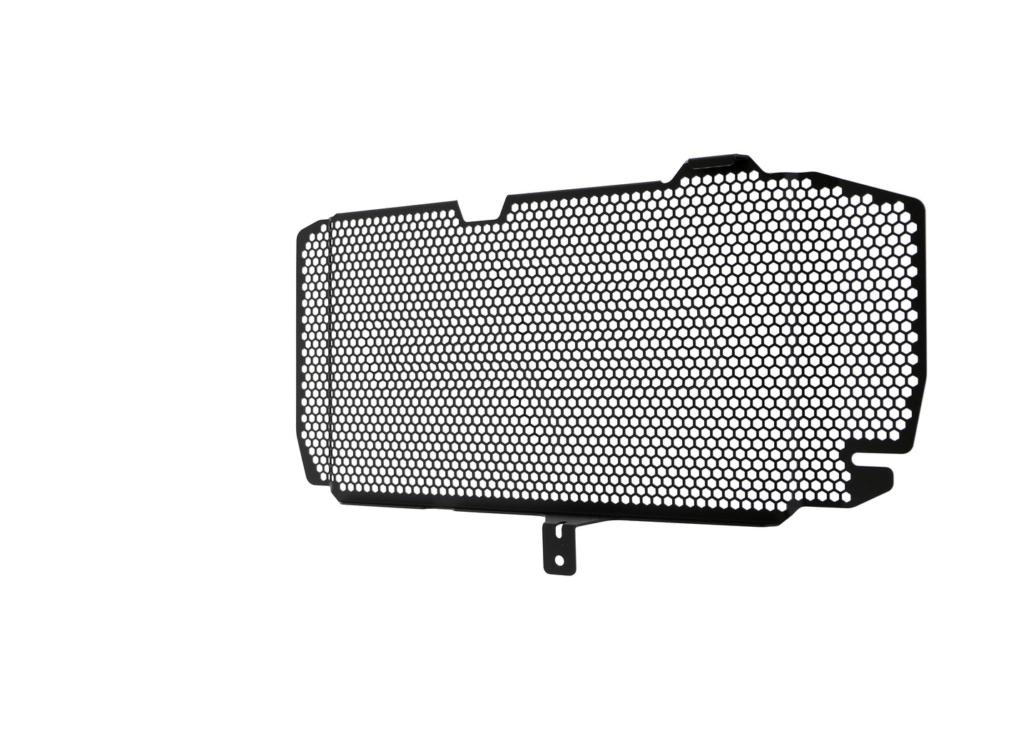 bmw-f-800-r-radiator-guard-2015-to-2019