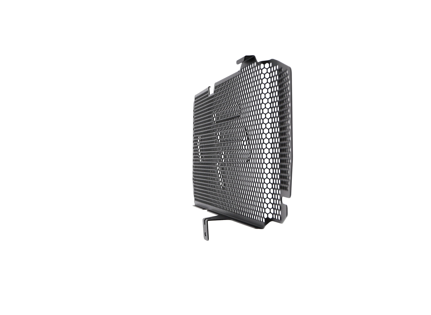 bmw-f-800-r-radiator-guard-2015-to-2019