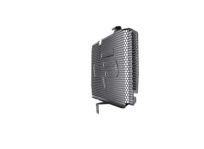 bmw-f-800-r-radiator-guard-2015-to-2019