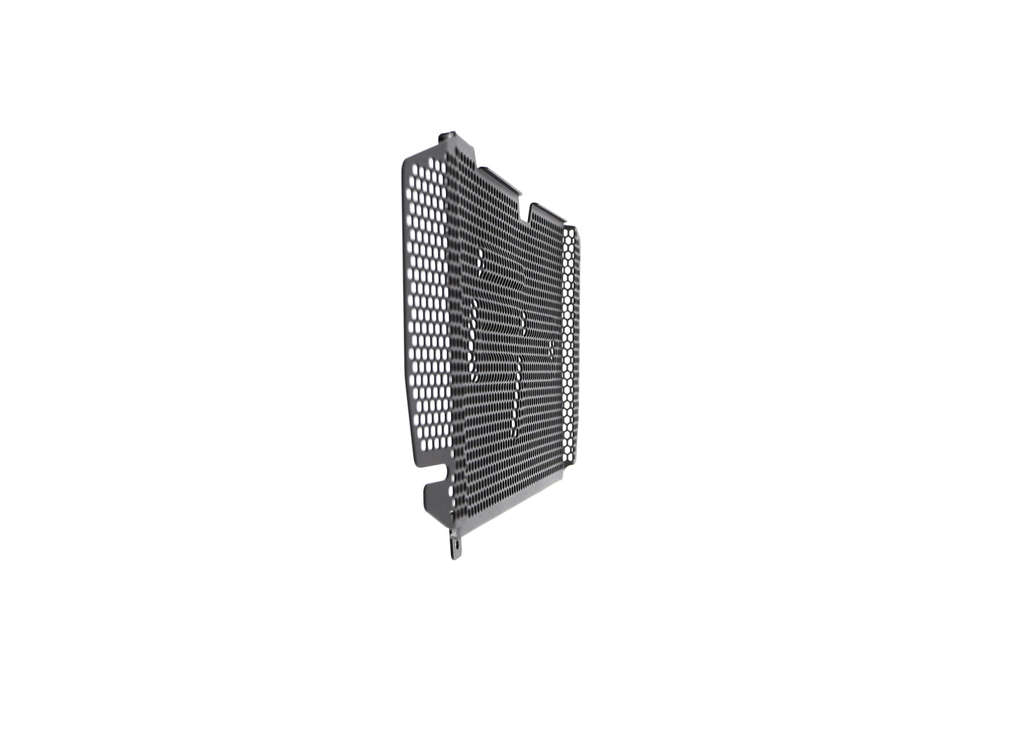 bmw-f-800-r-radiator-guard-2015-to-2019