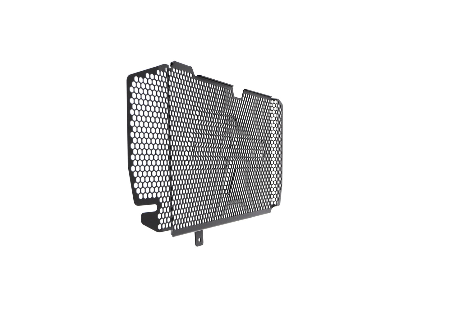 bmw-f-800-r-radiator-guard-2015-to-2019
