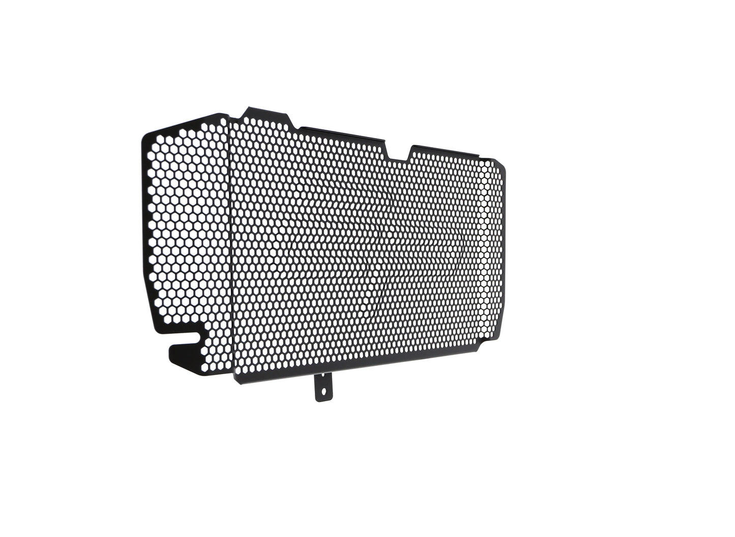 bmw-f-800-r-radiator-guard-2015-to-2019