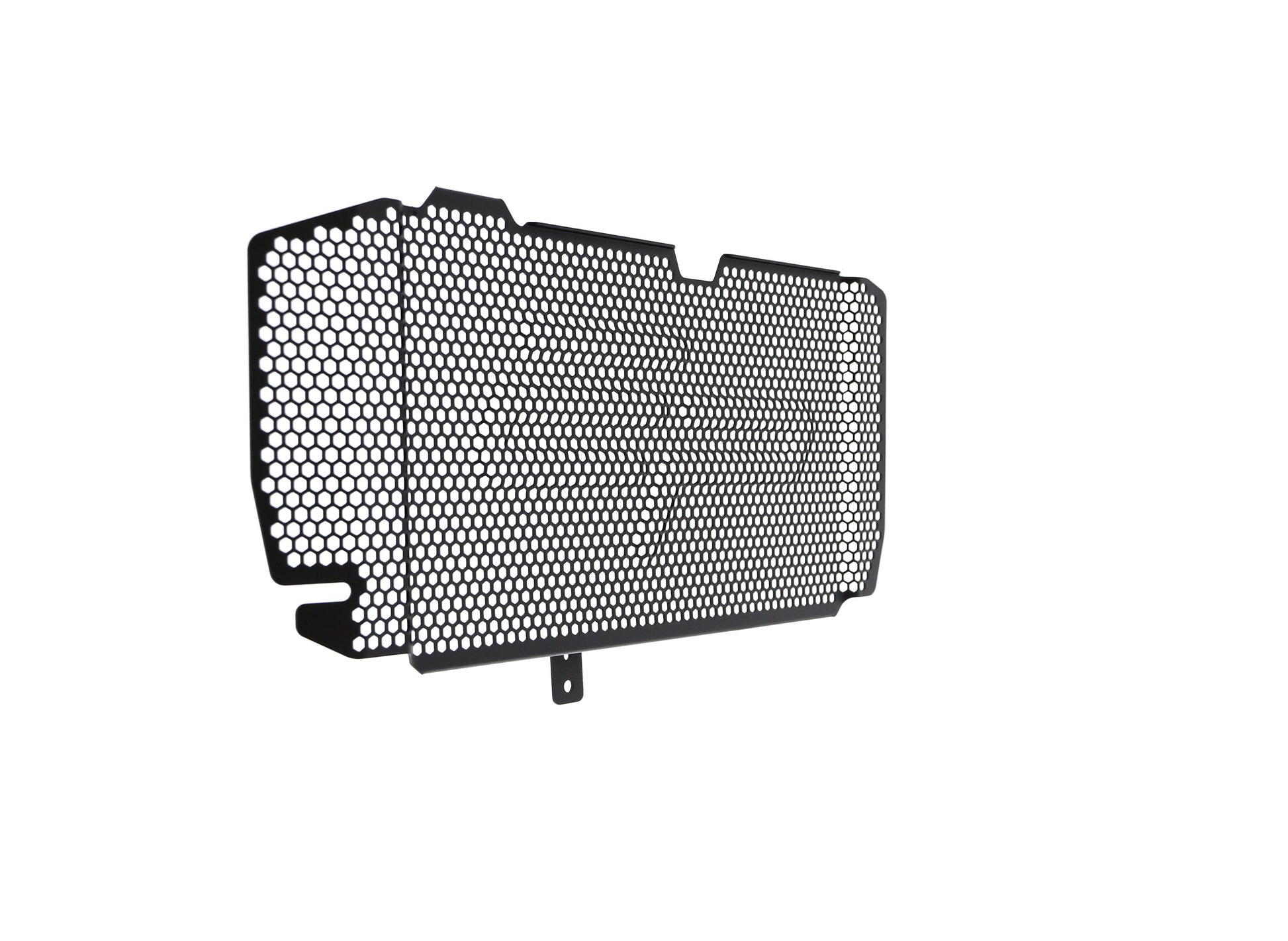 bmw-f-800-r-radiator-guard-2015-to-2019