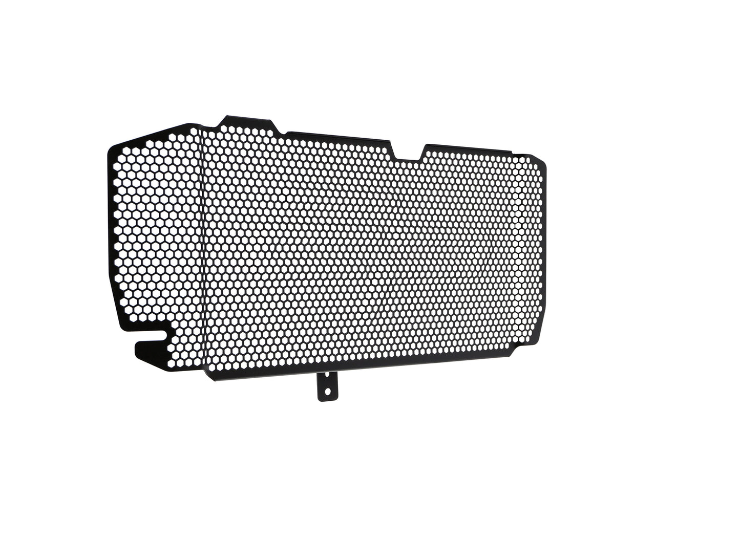 bmw-f-800-r-radiator-guard-2015-to-2019