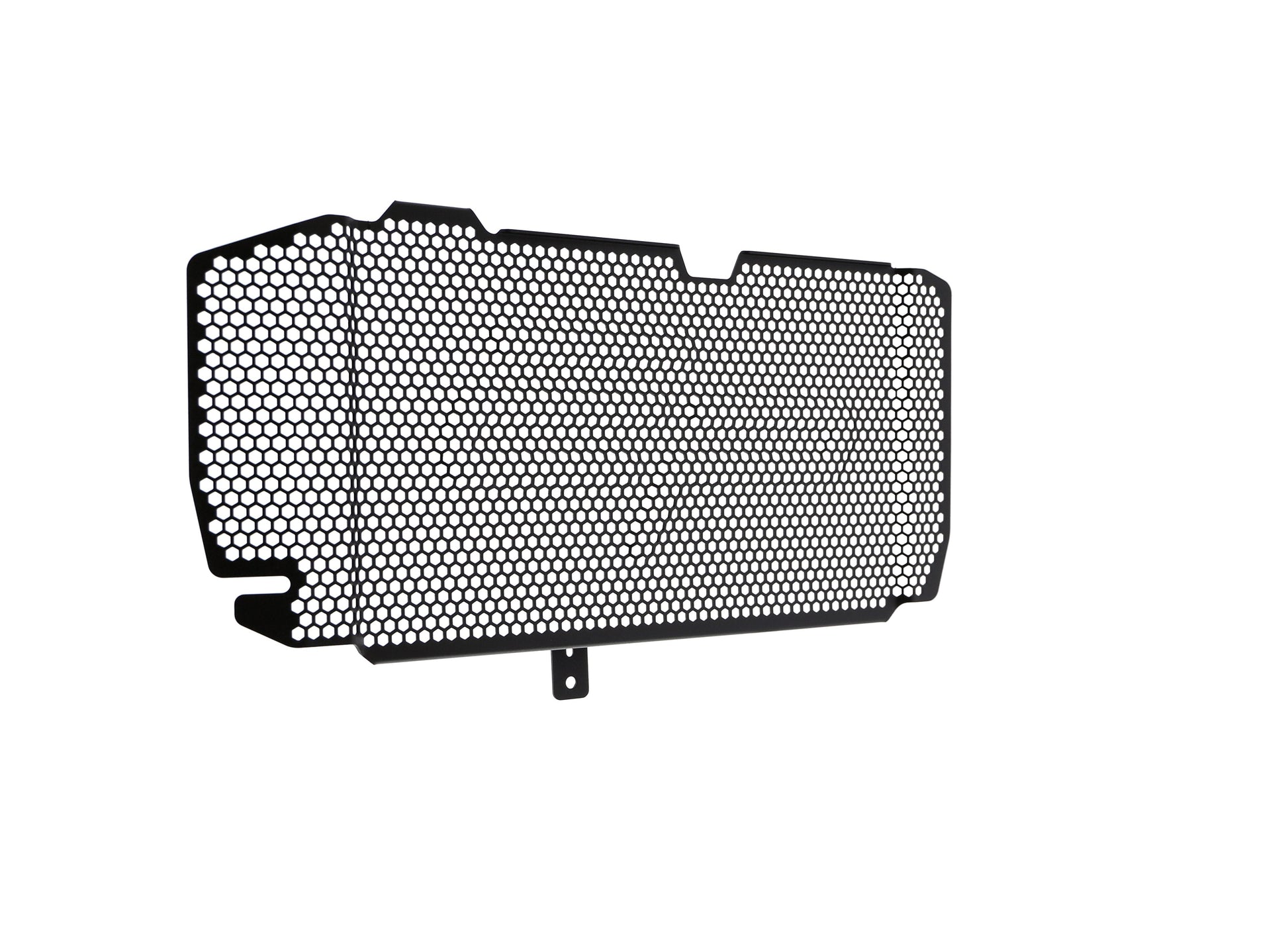bmw-f-800-r-radiator-guard-2015-to-2019
