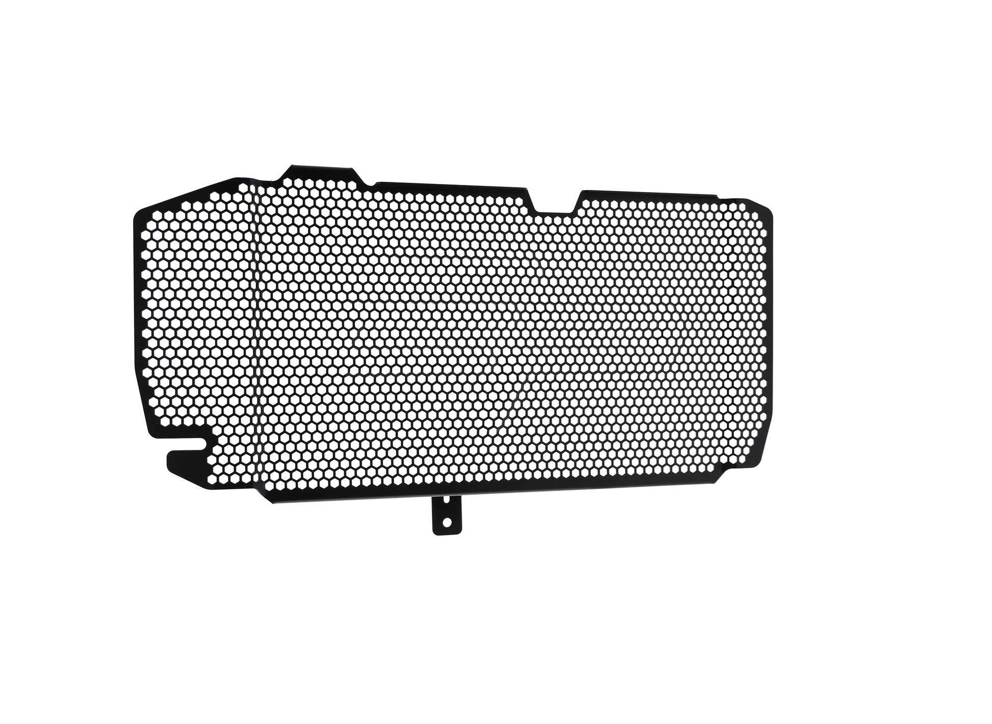 bmw-f-800-r-radiator-guard-2015-to-2019