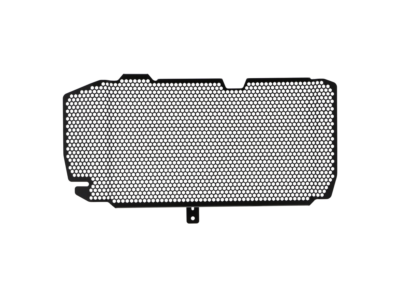 bmw-f-800-r-radiator-guard-2015-to-2019