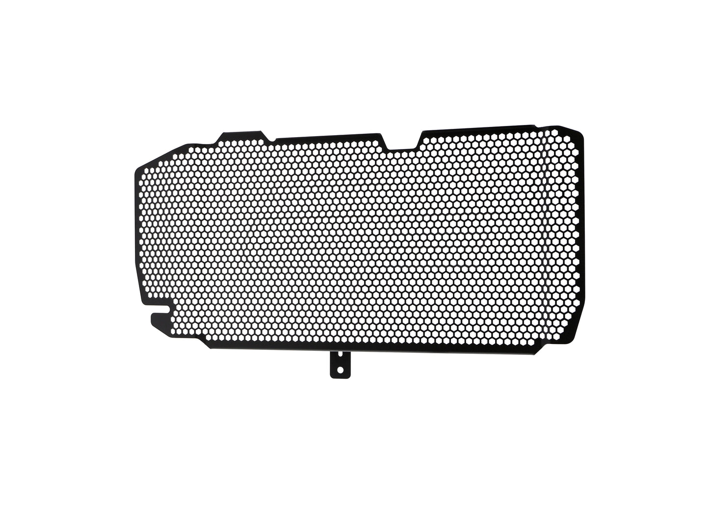 bmw-f-800-r-radiator-guard-2015-to-2019