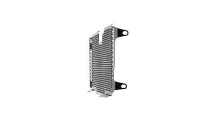 bmw-r-1200-r-radiator-guard-2015-to-2018