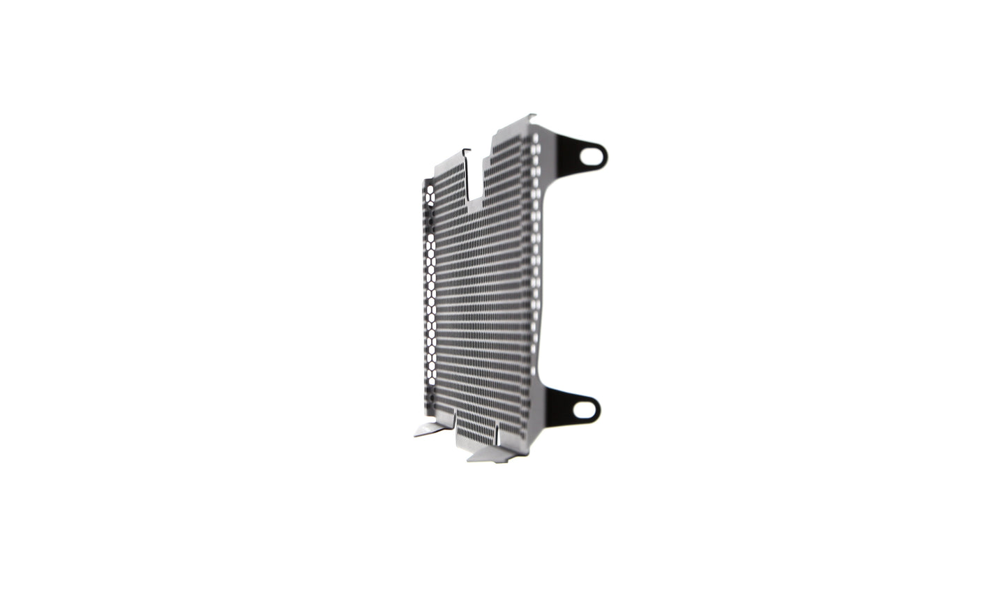 bmw-r-1200-rs-radiator-guard-2015-to-2018