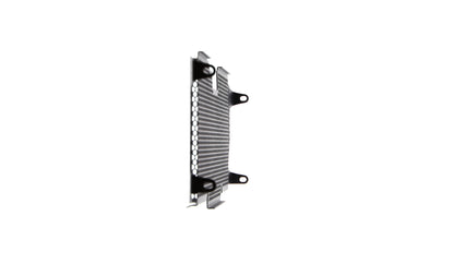 bmw-r-1200-r-radiator-guard-2015-to-2018