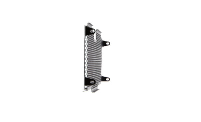 bmw-r-1200-rs-radiator-guard-2015-to-2018