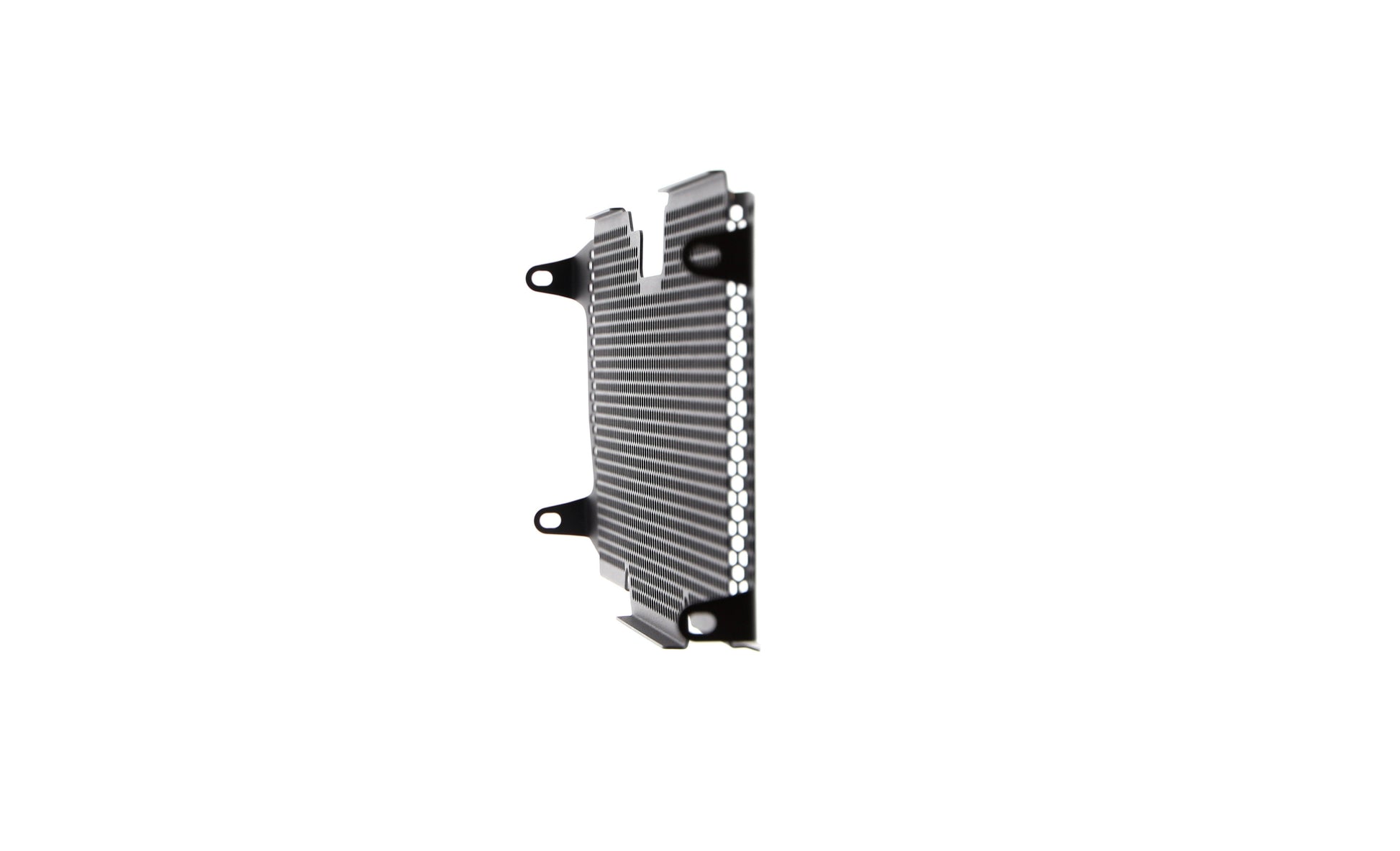 bmw-r-1200-rs-radiator-guard-2015-to-2018