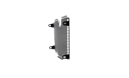 bmw-r-1200-rs-radiator-guard-2015-to-2018