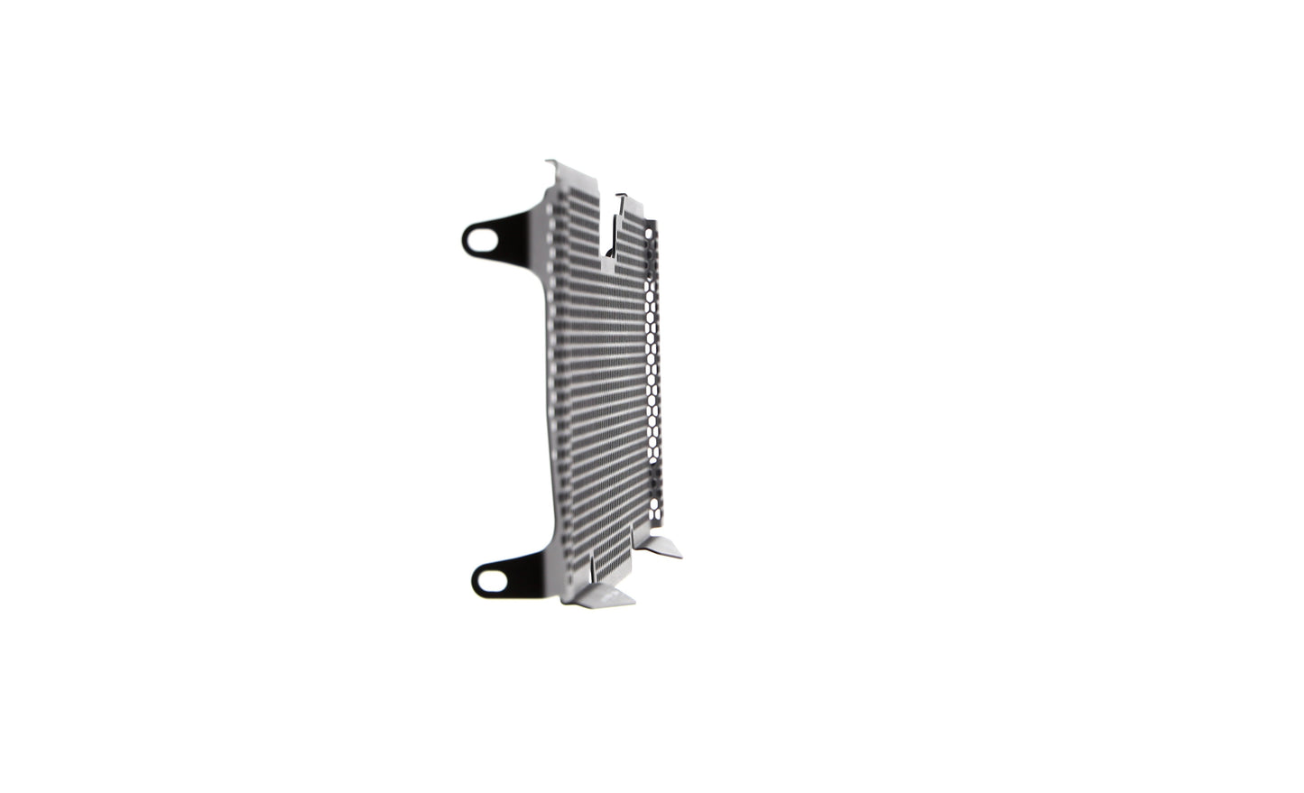 bmw-r-1200-rs-radiator-guard-2015-to-2018