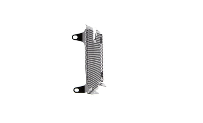 bmw-r-1200-rs-radiator-guard-2015-to-2018