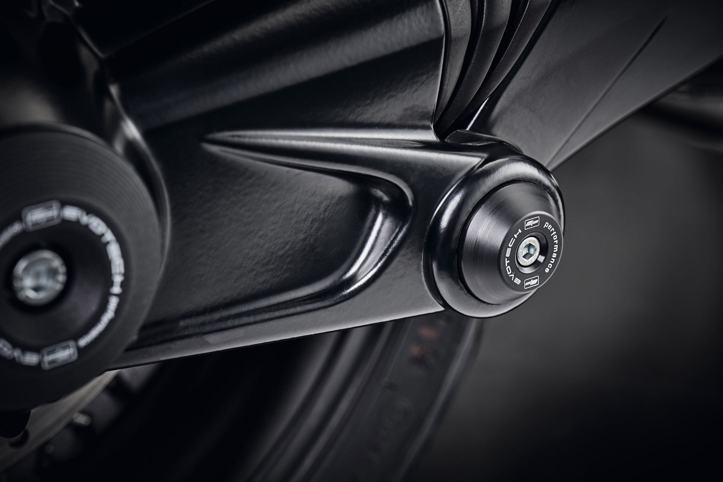 ep-swingarm-protection-bmw-r-ninet-2017-onwards