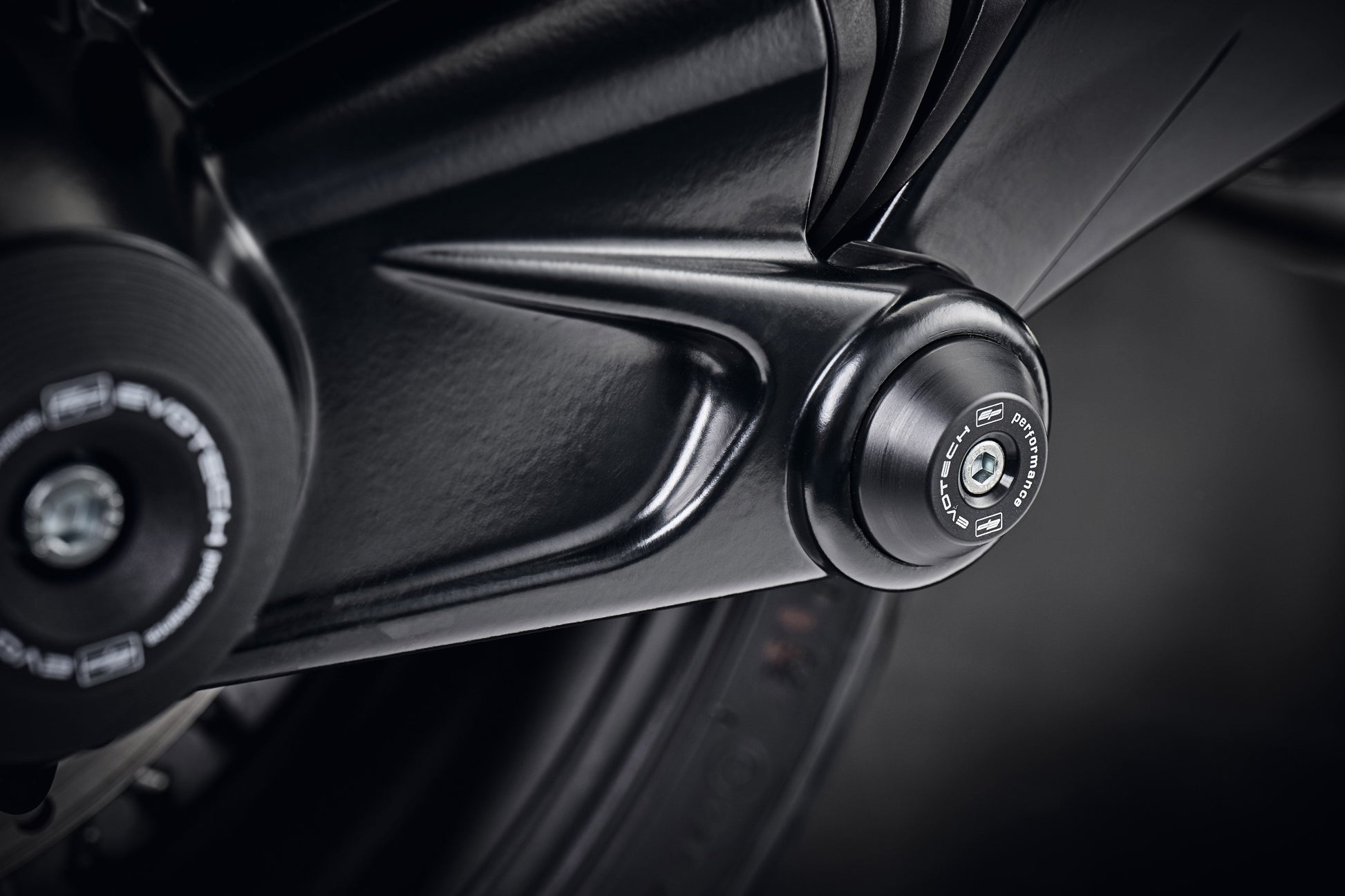 ep-swingarm-protection-bmw-r-ninet-2017-onwards