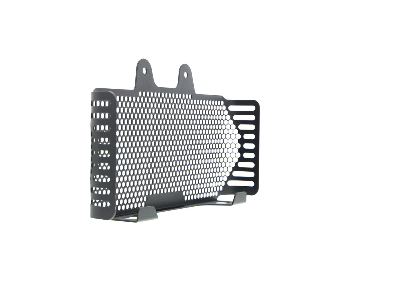 bmw-r-ninet-scrambler-oil-cooler-guard-2017-onwards