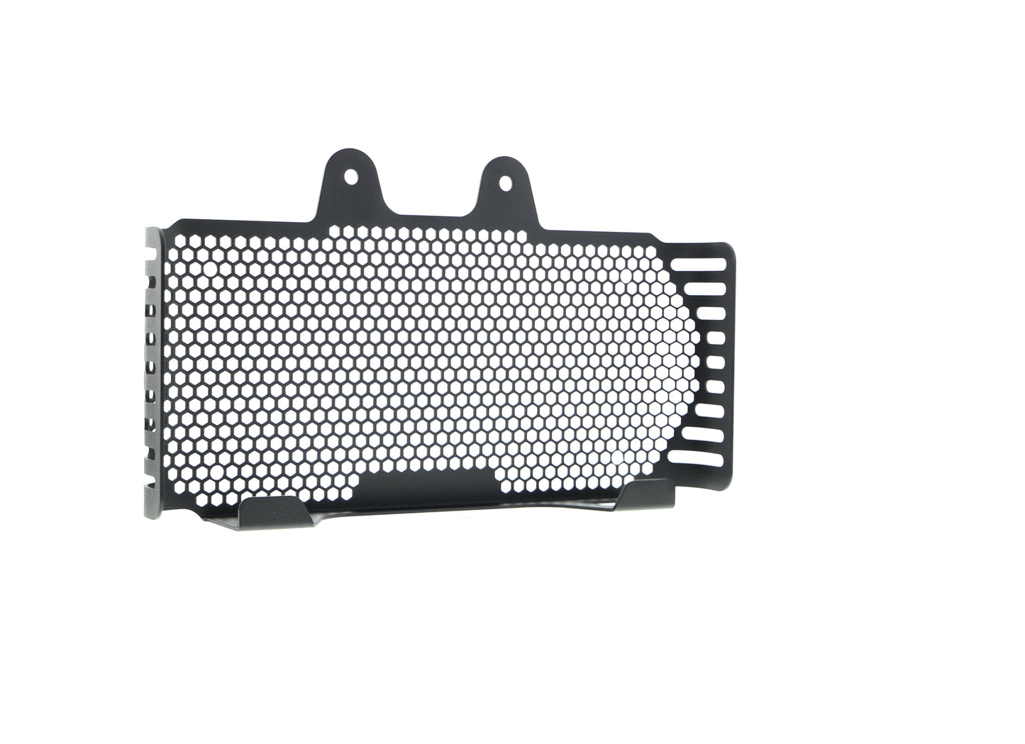 ep-bmw-r-ninet-oil-cooler-guard-2017-onwards