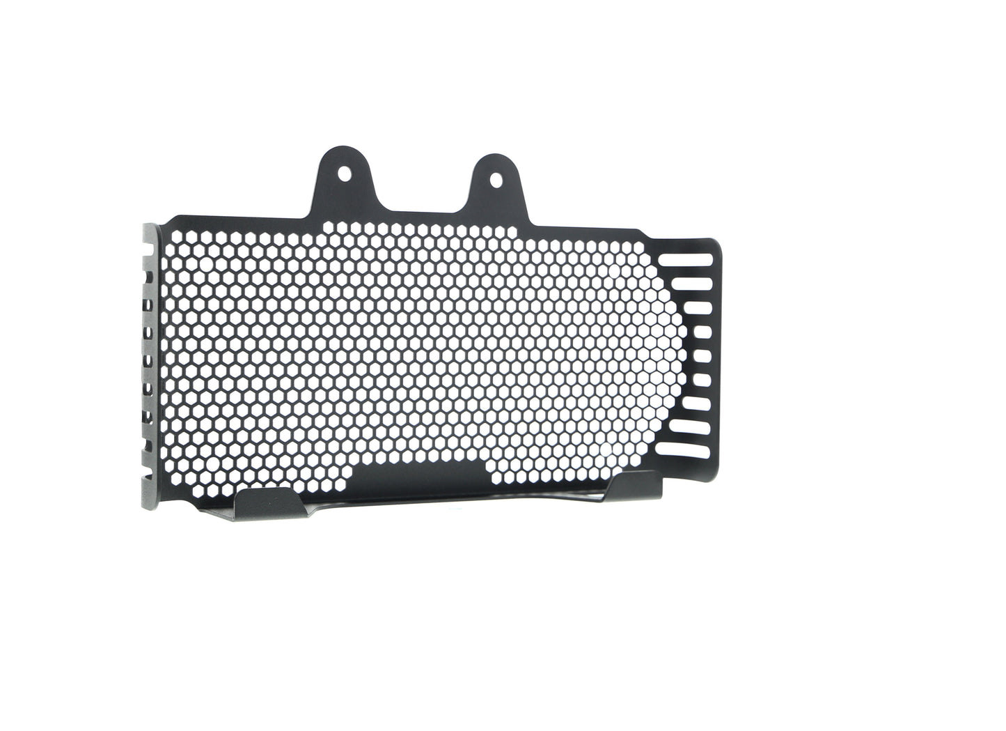 bmw-r-ninet-scrambler-oil-cooler-guard-2017-onwards