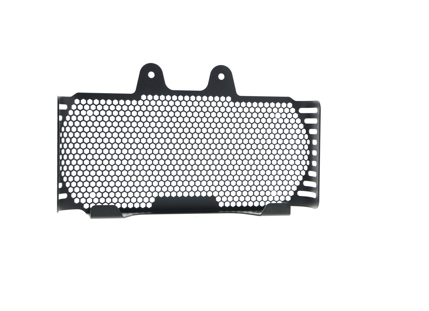 bmw-r-ninet-pure-oil-cooler-guard-2017-onwards