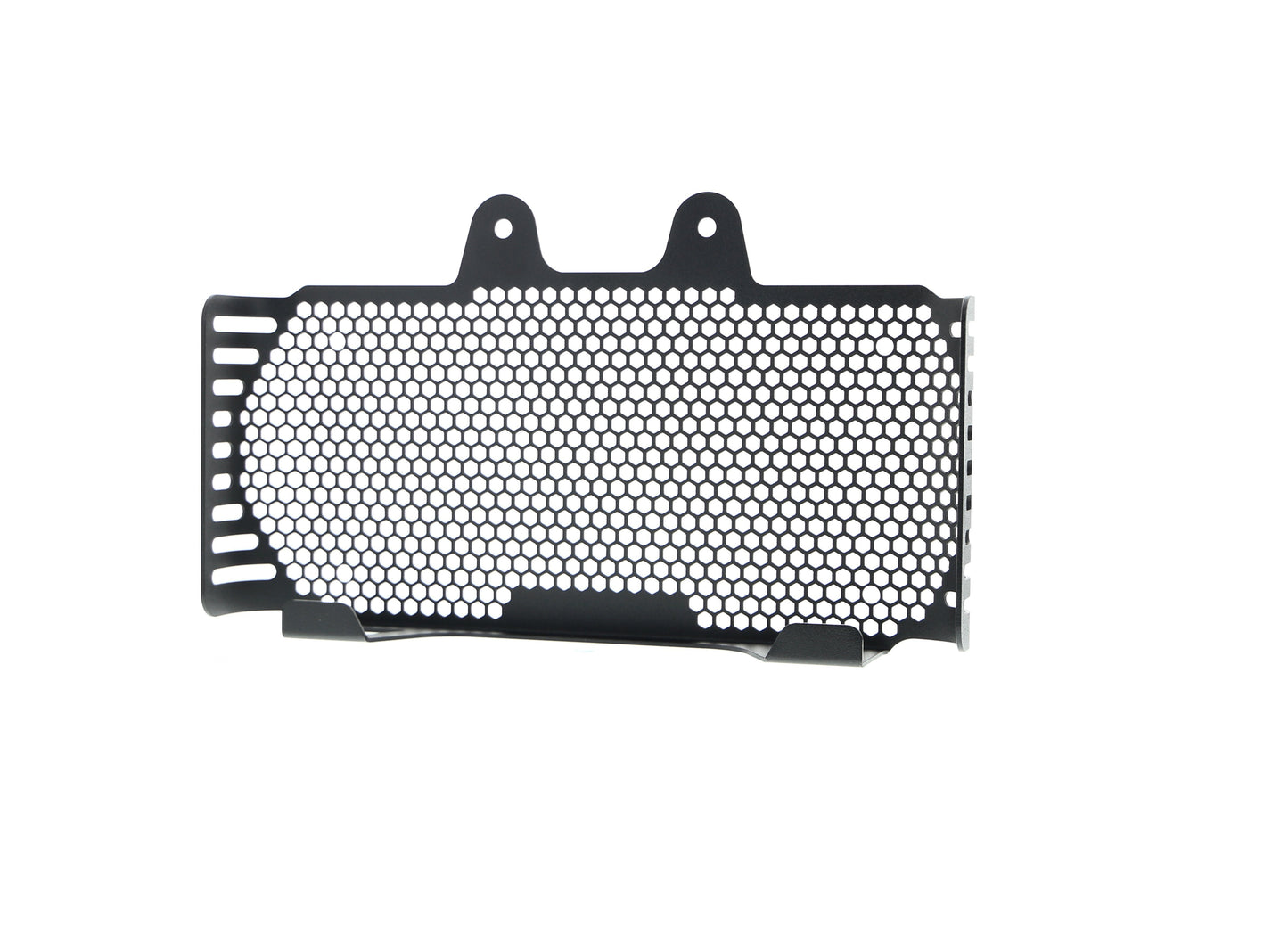 bmw-r-ninet-pure-oil-cooler-guard-2017-onwards