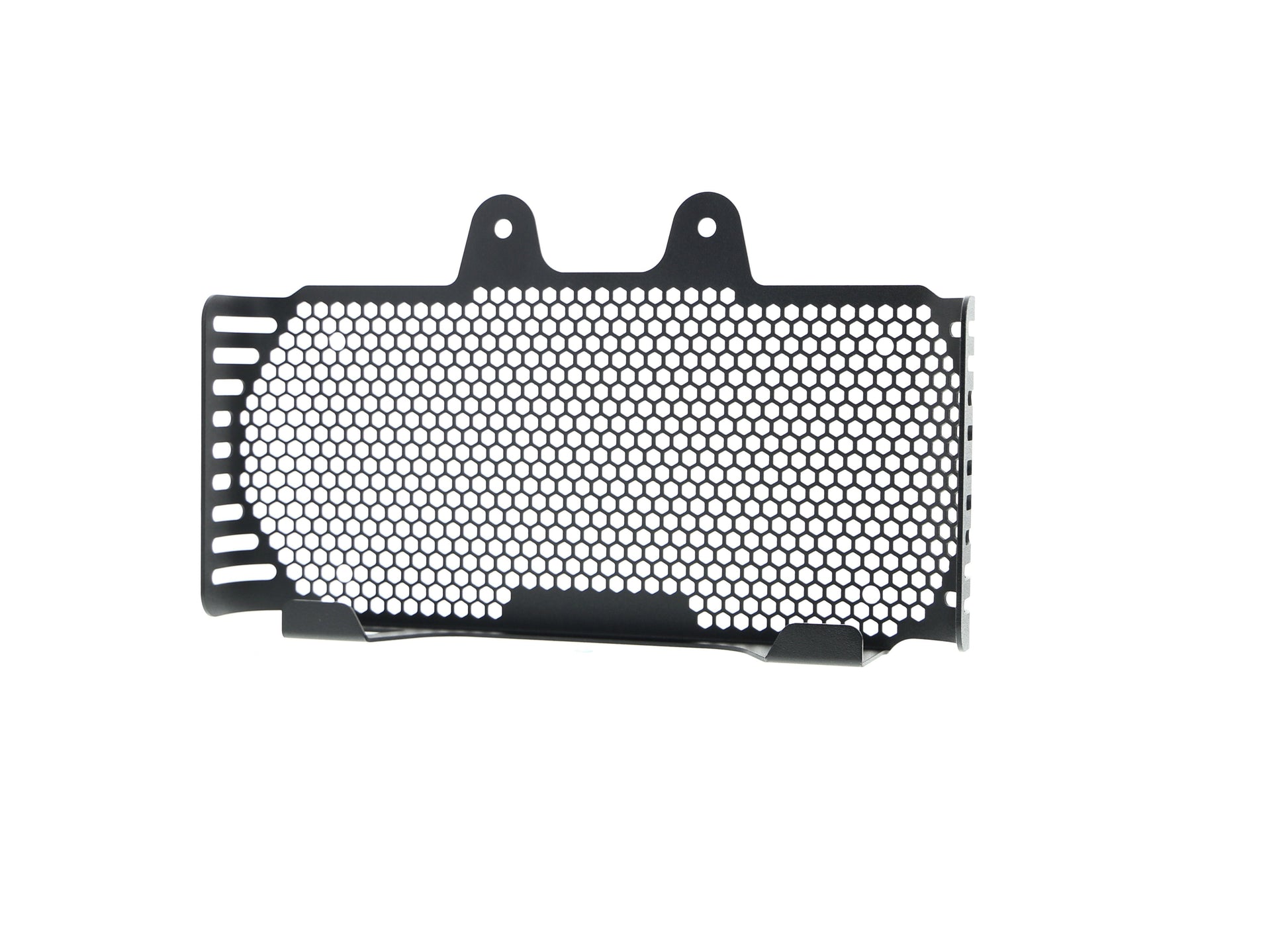 bmw-r-ninet-pure-oil-cooler-guard-2017-onwards