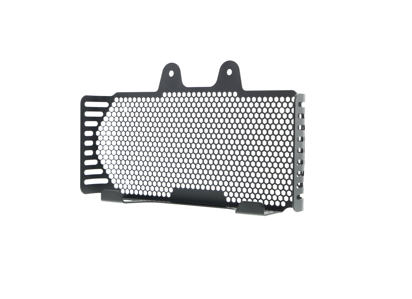 bmw-r-ninet-pure-oil-cooler-guard-2017-onwards