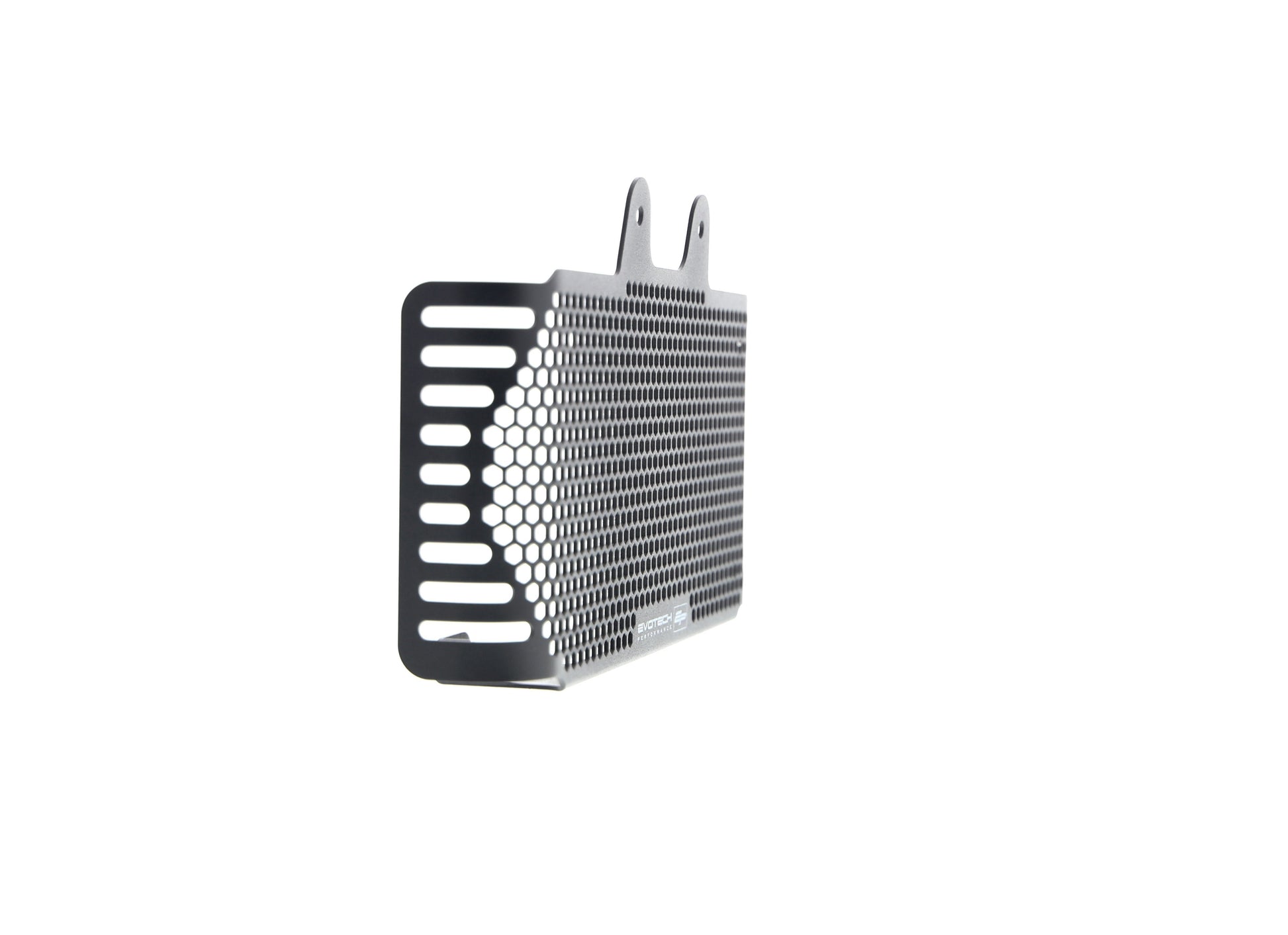 bmw-r-ninet-pure-oil-cooler-guard-2017-onwards